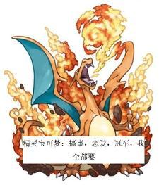 精靈寶可夢：搞事戀愛冠軍我全要