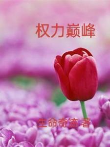 權力巅峰的人生
