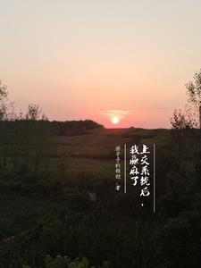 被系統賴上後我愛情事業雙豐收