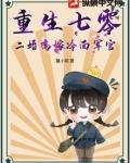 重生七零，二婚高嫁冷面軍官
