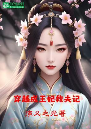 穿越成王妃救夫記